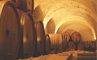 Tour pela vinícola e degustação em Salento na vinícola Leone de Castris